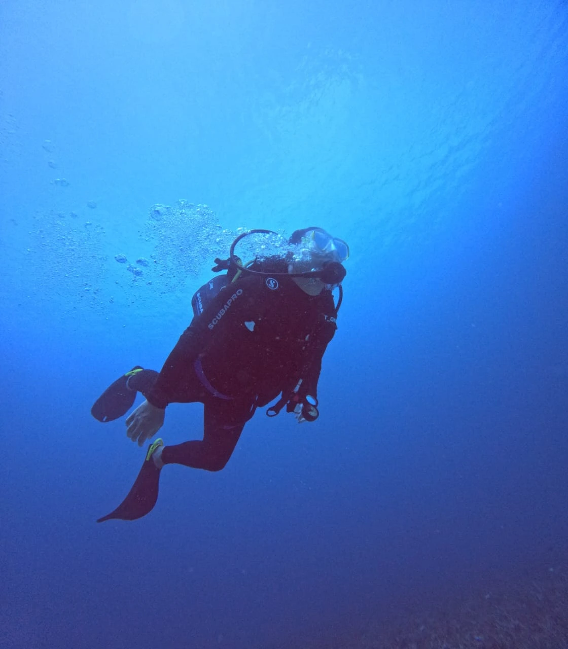Underwater Photography Rahasia Menciptakan Keajaiban Visual atau Menghindari Hasil Mengecewakan